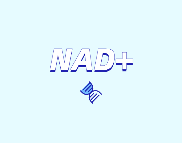 選擇NMN還是NR？