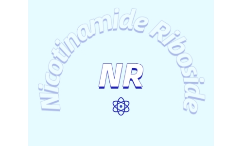 煙酰胺核糖氯化物是如何增加NDA+水平的？