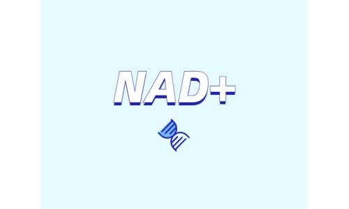NAD在健康中有什么潛在作用？