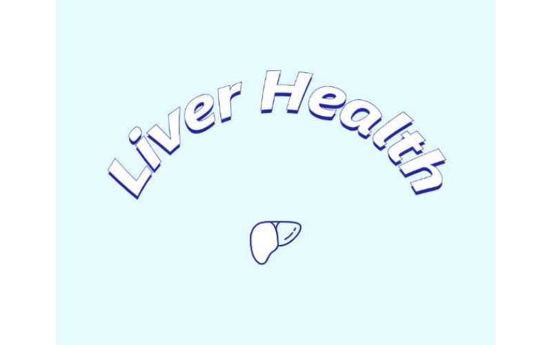 哪些原料可助力肝臟健康？